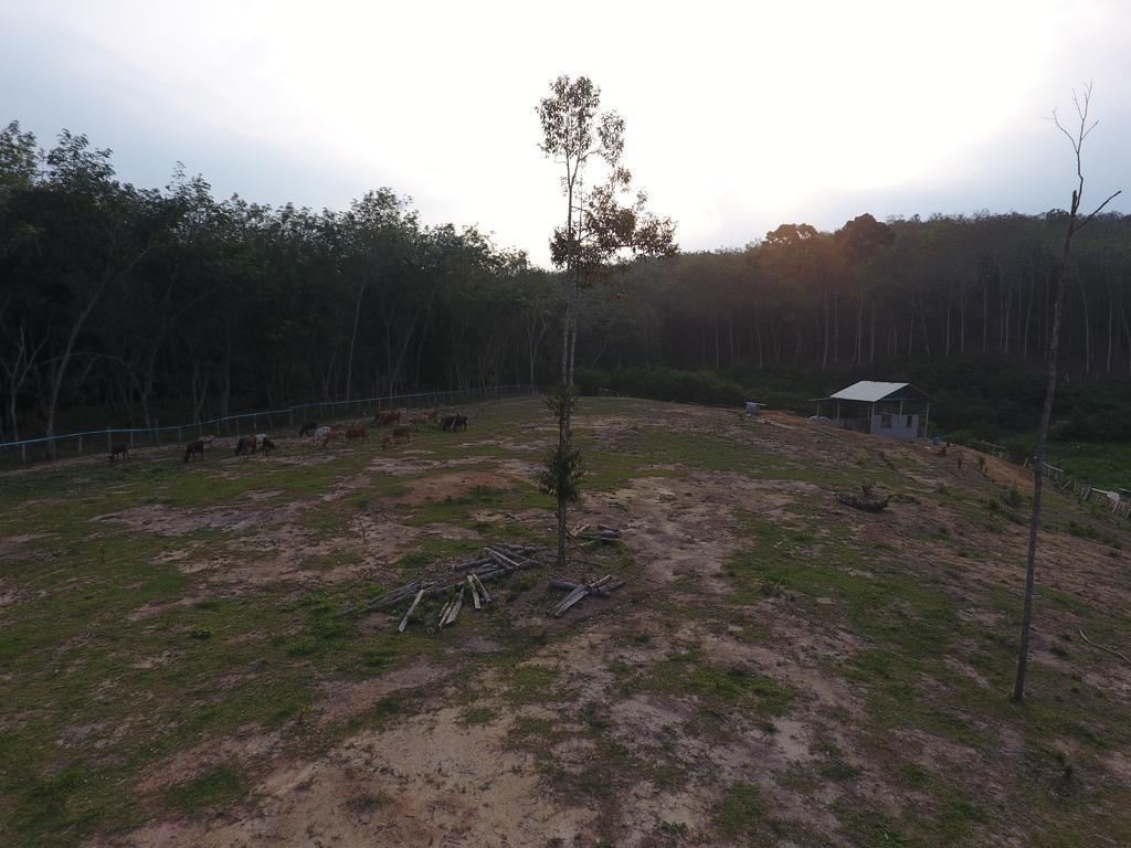 Chalet Kampong Semawar กัวลากังซาร์ ภายนอก รูปภาพ